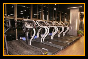 Workout - Pulse8 Gym