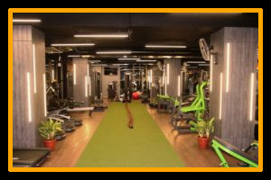 Workout - Pulse8 Gym