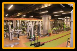 Workout - Pulse8 Gym