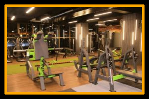 Workout - Pulse8 Gym