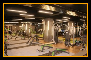 Workout - Pulse8 Gym