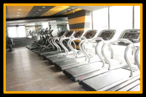 PULSE8 GYM - SRINAGAR COLONY
