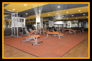 PULSE8 GYM - SRINAGAR COLONY
