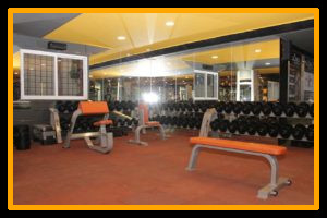 PULSE8 GYM - SRINAGAR COLONY